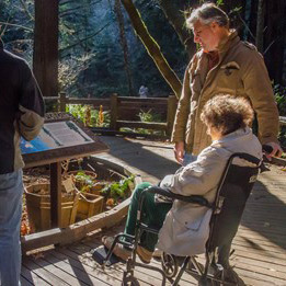 Elderly couple looking at a map of Muir Woods.